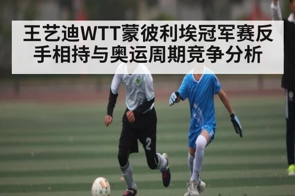 王艺迪WTT蒙彼利埃冠军赛反手相持与奥运周期竞争分析